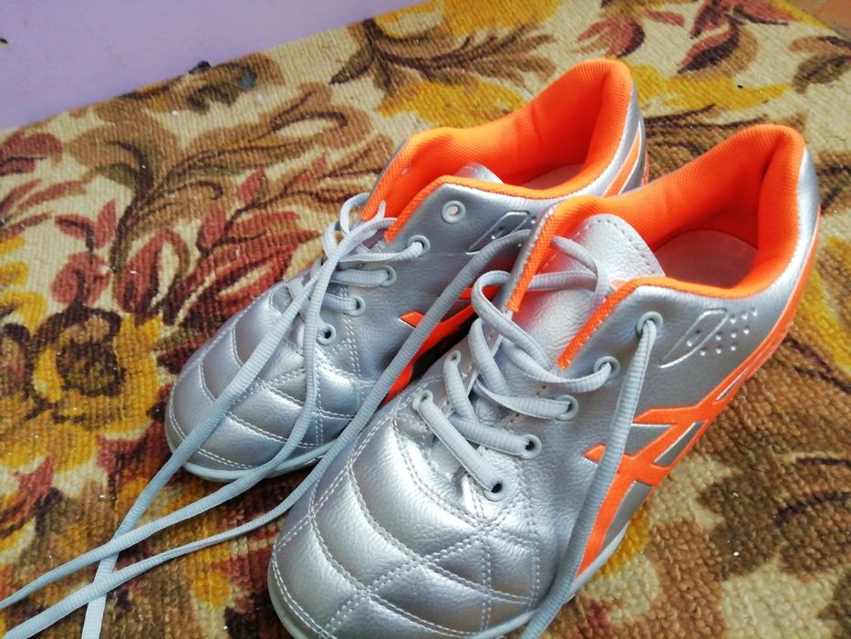 Сороконожки нулевые