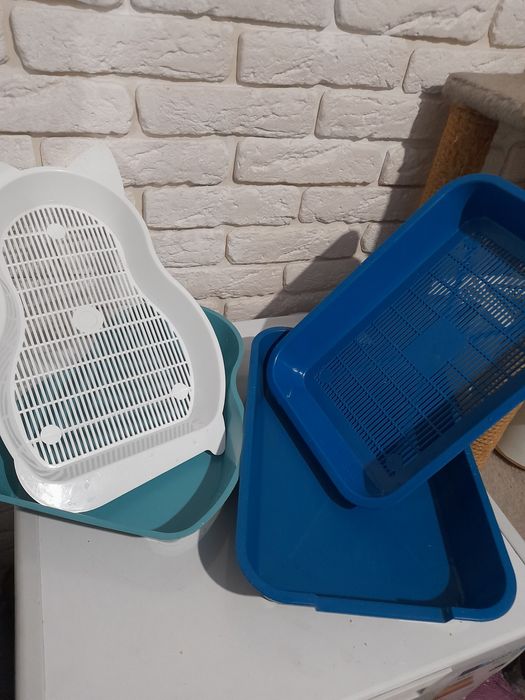 Лотки для котят 2