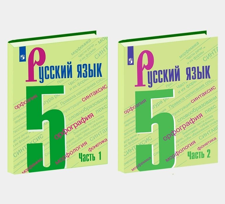 Доставка. Русский язык 5,6,7,8,9 класс Ладыженская