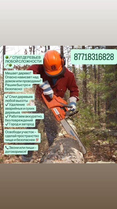 Спил деревьев любой сложности