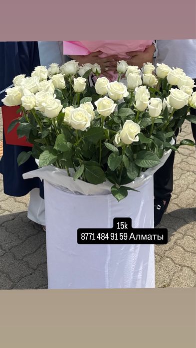 Бугын келген гул Алматы