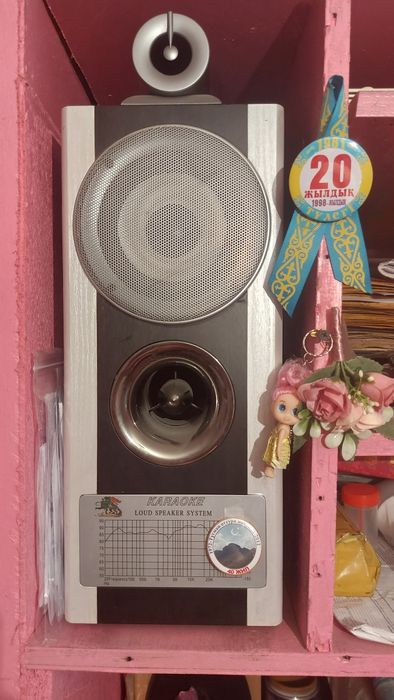 Продаётся колонки для машины и для дома.