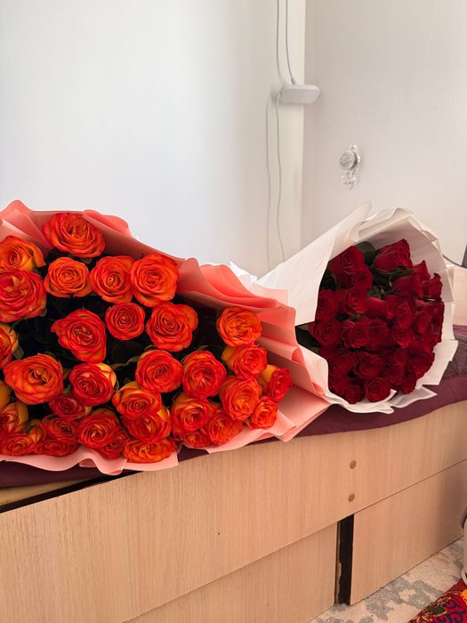 51 штук роза свежий