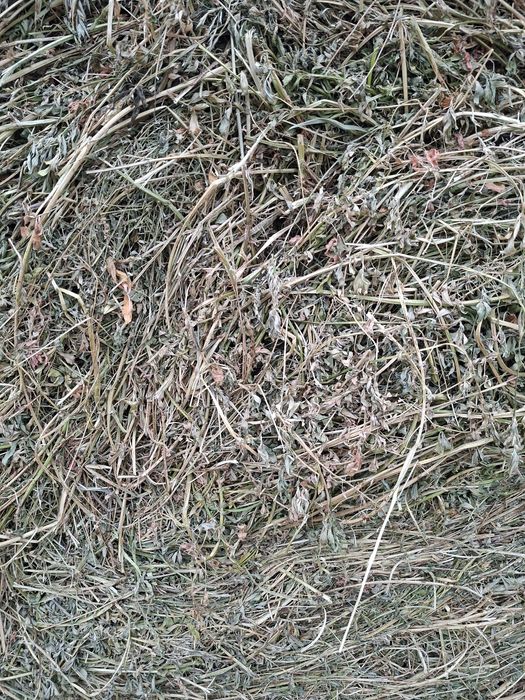Baloți de lucernă de vânzare.