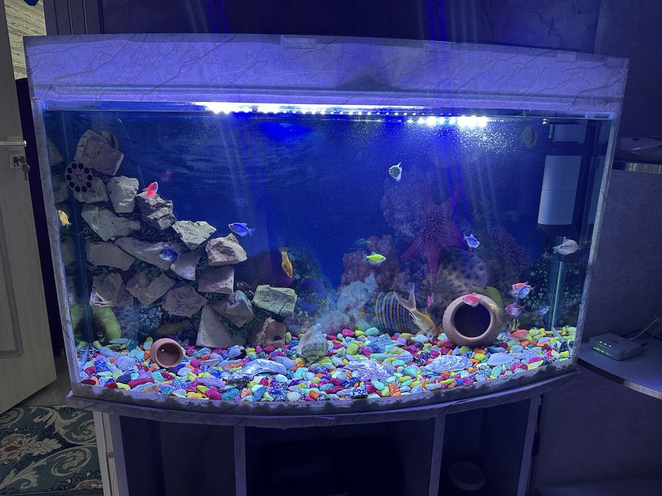 Akvarium sotiladi