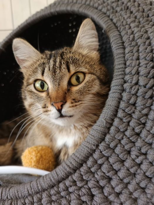 В ответственные руки