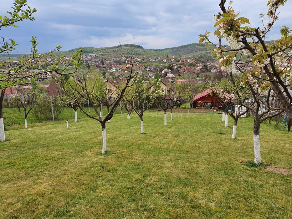 85.800 €, Teren în LIVEZENI, 780 MP, str Pădurii, 110  €/MP