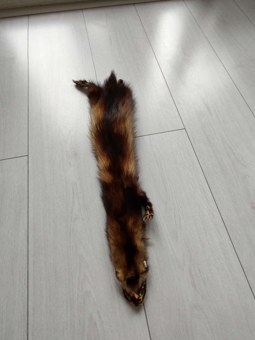 Естествена кожа от куница