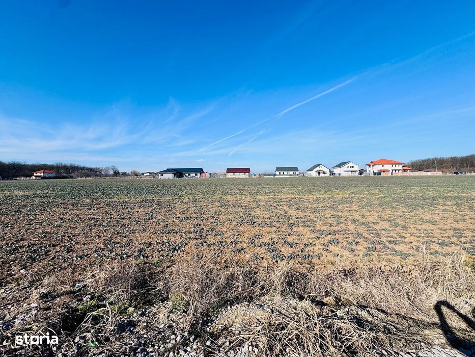 Teren Ciofliceni lângă pădure,Utilități complete Comision 0