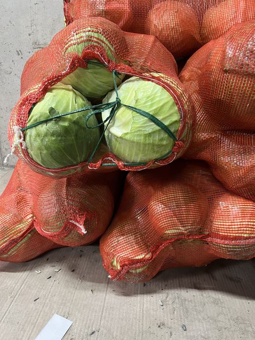 Продам картофель сорт Галла