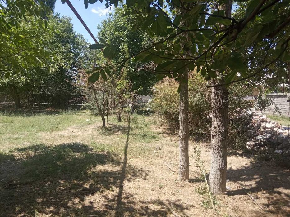 Ким Пен Хва участка ИЖОРАГА