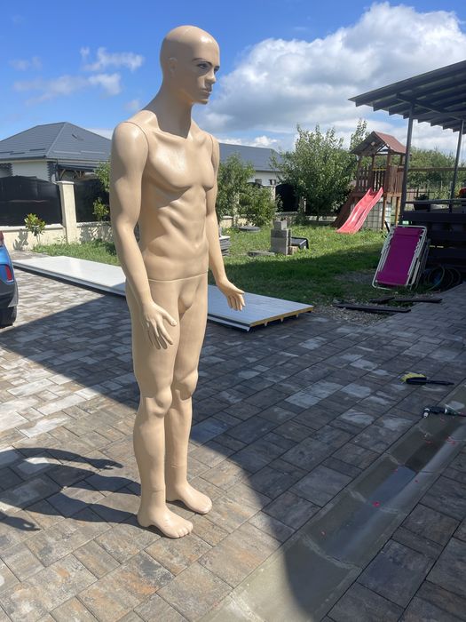 Manechin masculin barbat