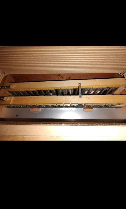 Hohner concerto II N