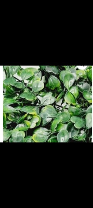 Panou verde artificial 40x60 cm