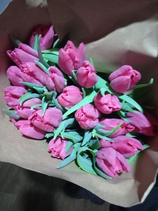 Тюльпаны оптом со своей теплицы