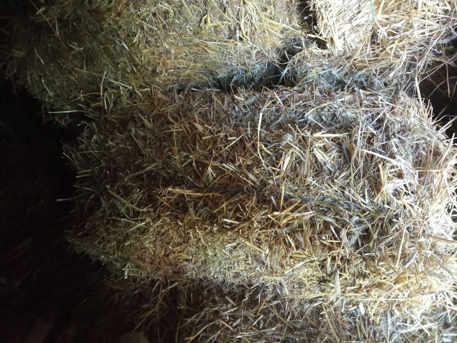 Vând baloți de paie