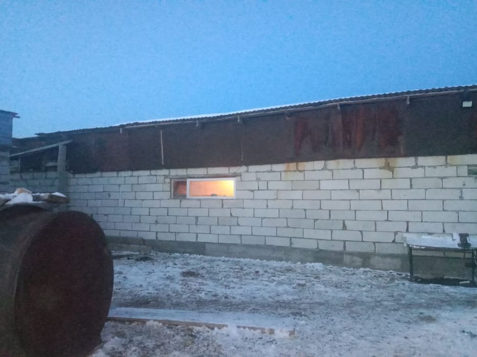 Сельское хозяйство