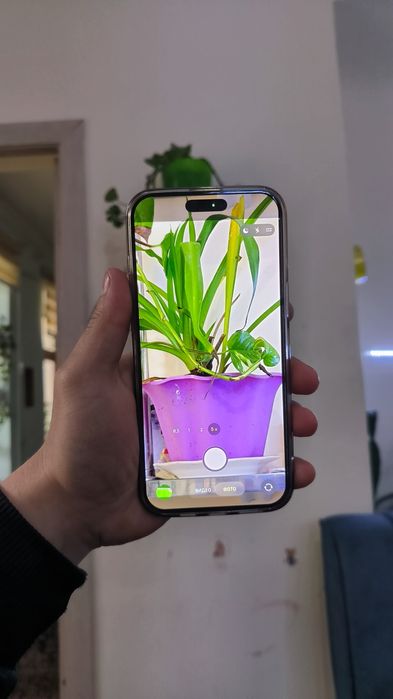 iPhone 16 Pro Max 256GB 100%