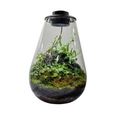 Палюдариумы и Флорариумы в магазине AquaStar