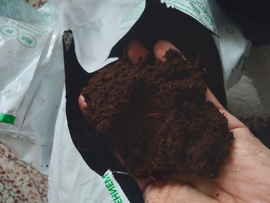 Грунт Расада  цветы