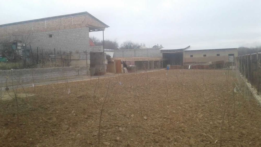 Ташкент.обл. пос. Майский.СВТ "Звездочка".Продам 2 дачи на 18 сотках.