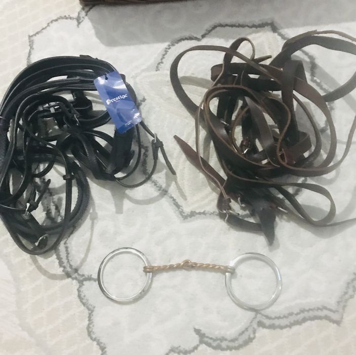 Для лошодей.