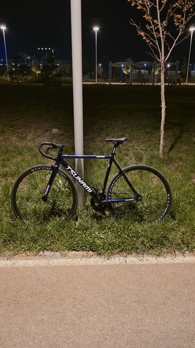 Tsunami SNM100 Fix Chameleon