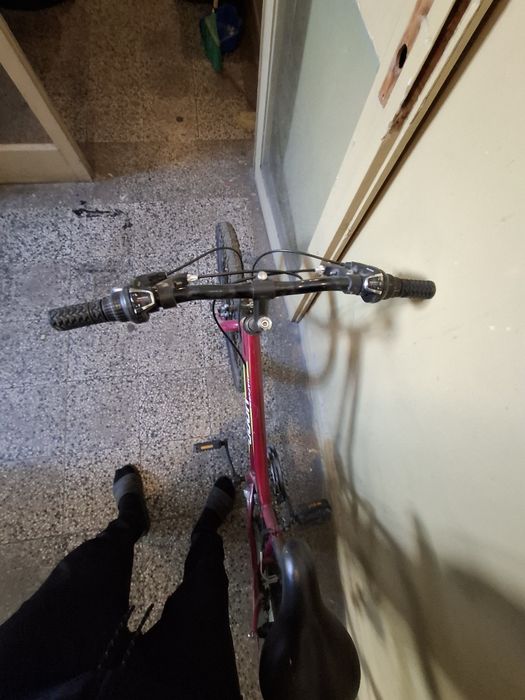 Колело за момичета и момчета!