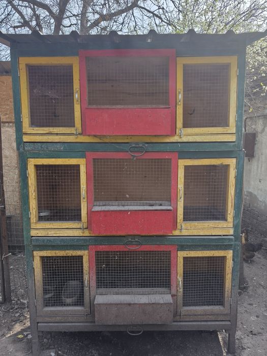 Пклеткм для курей