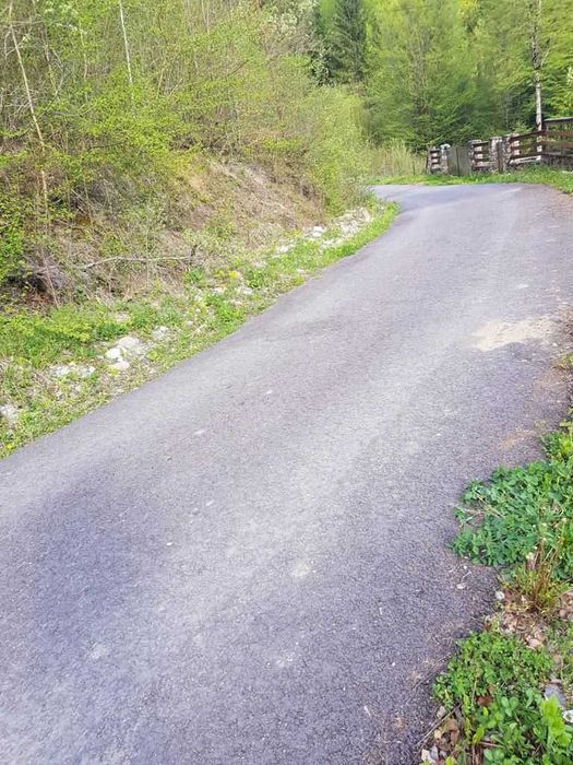 Teren de vis in padure