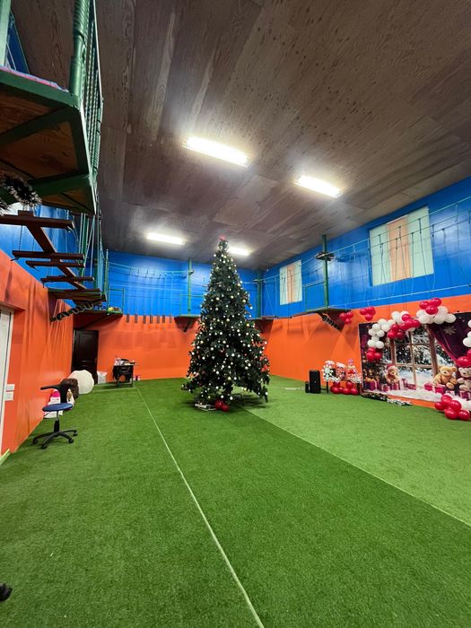 Сдам в аренду Ёлку + помещение