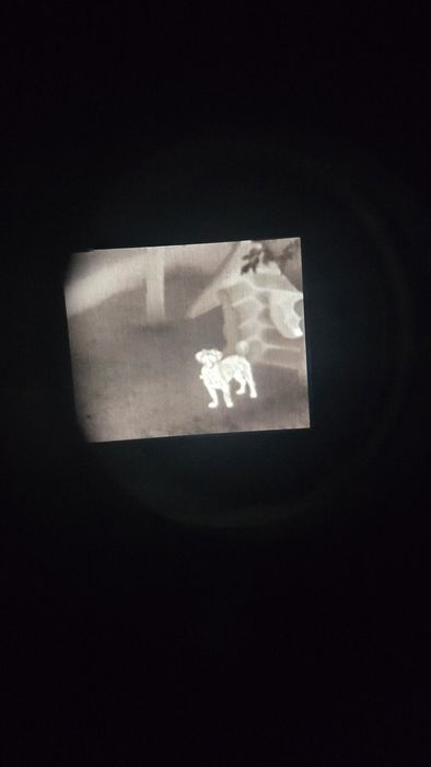 Termoviziune zwarovski tM 35