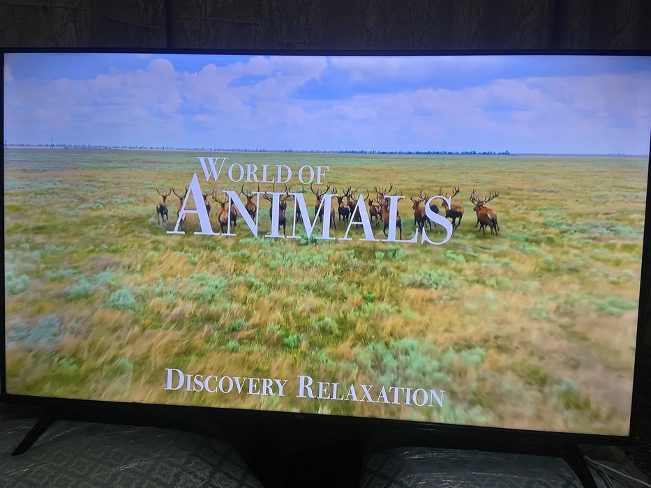 Продам телевизор TCL