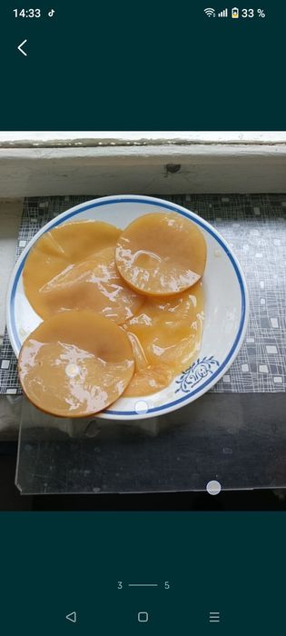 Чайный гриб В продаже