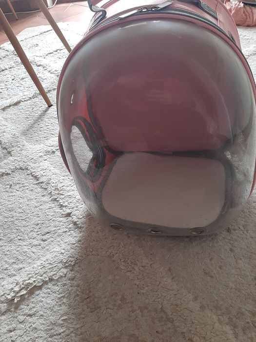 Litieră pisici de vânzare,rucsac și ham de calorifer