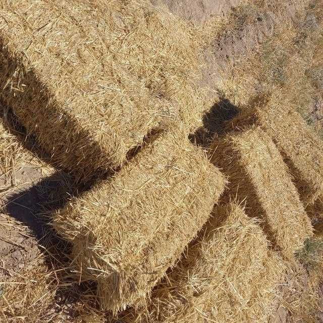 Qarshi sh Chavqay qishlogi Somon priss sotiladi 100 ta