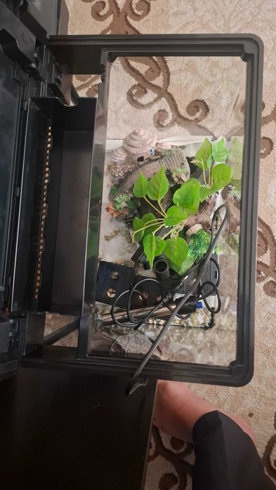 Аквариум на 30 литров