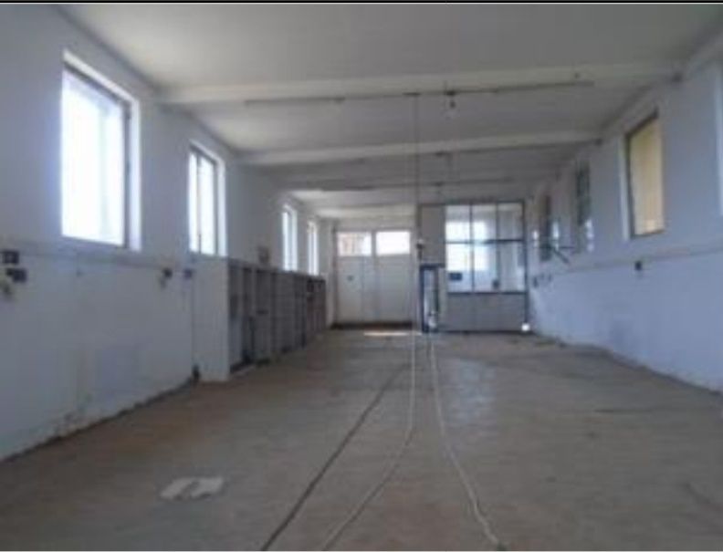 Depozit/depozite hala Bacau Măgura