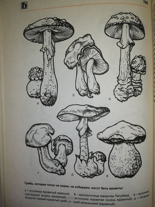 Книги для кулинаров