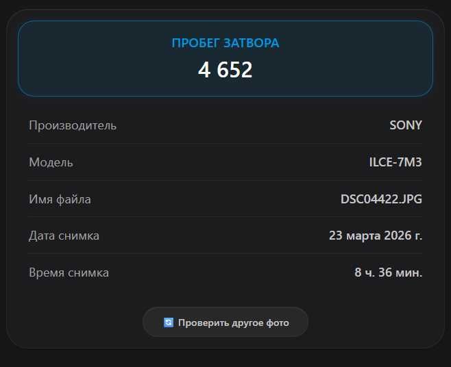 Sony A7 iii в отличном состоянии