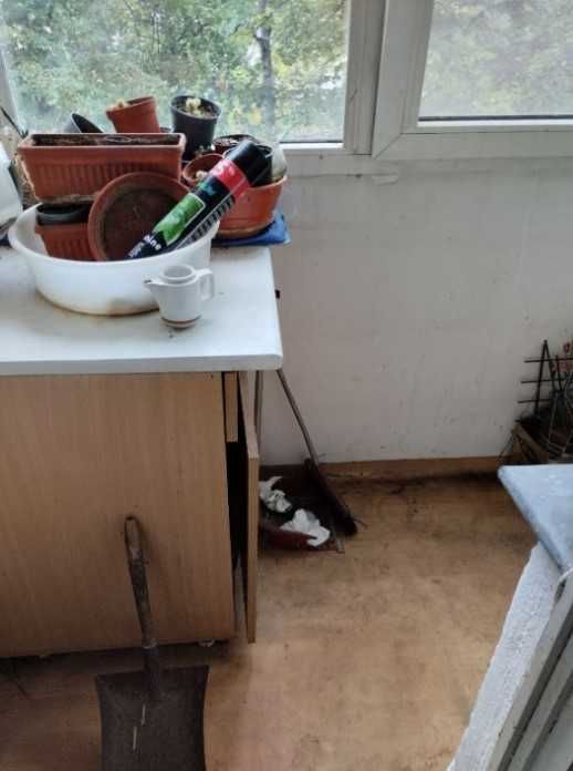 Продава се Тристаен апартамент в София, Център - 87 кв.м за 3104 €/кв.м - Снимка #4