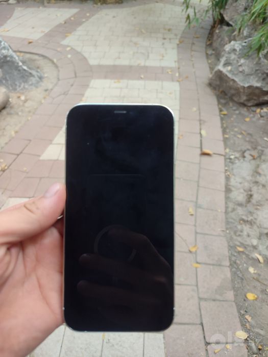 iPhone 12 Pro 256