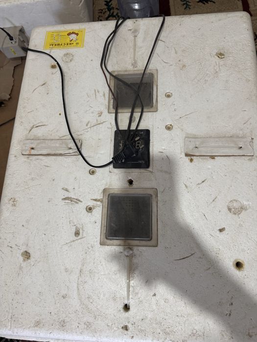 инкубатор несушка