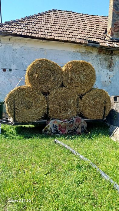 Vănd 5 baloti de paie ovāz.