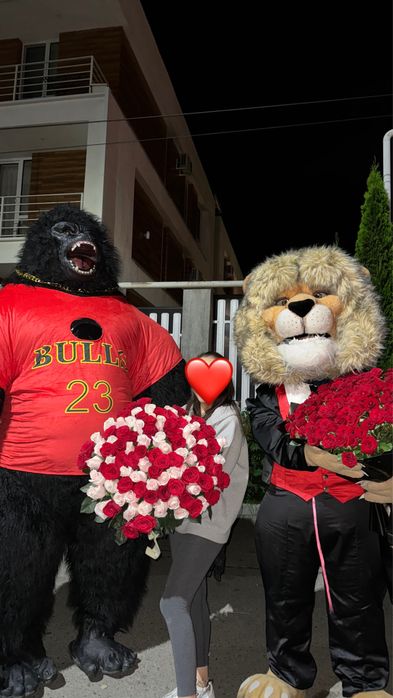 Мишка на выписка из роддома