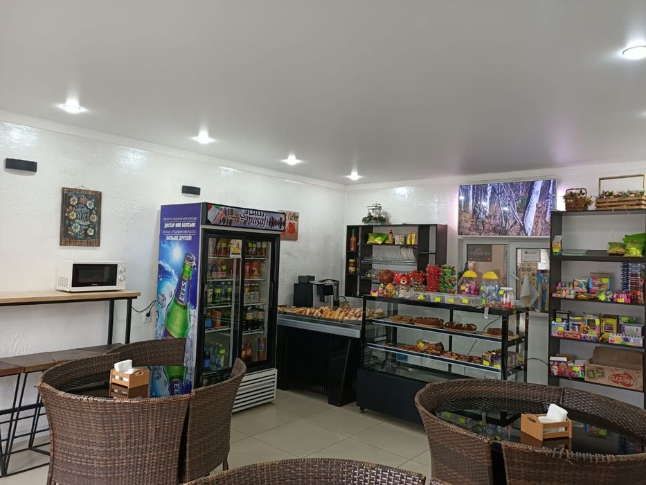 Продам дом с бизнесом.