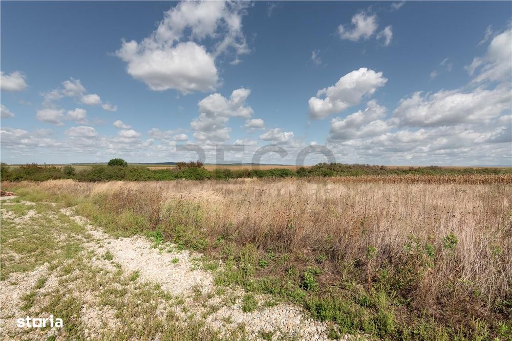 Teren intravilan in Rontau