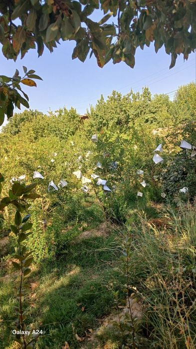 Angor tumani Qorasuvda hovlili uy sotiladi