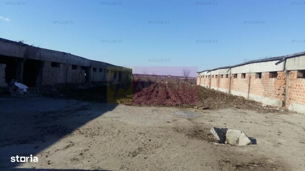 Teren Balotesti- Saftica- ideal pentru constructie locuinte.