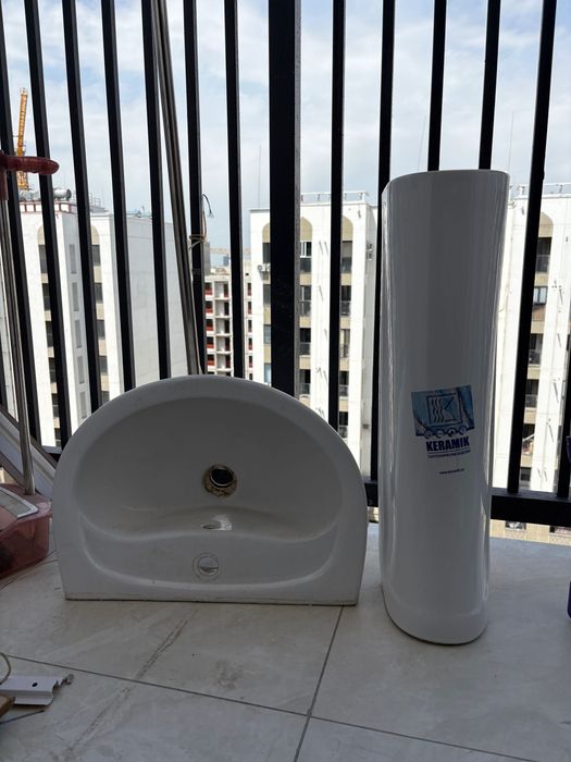 Тюльпан раковина